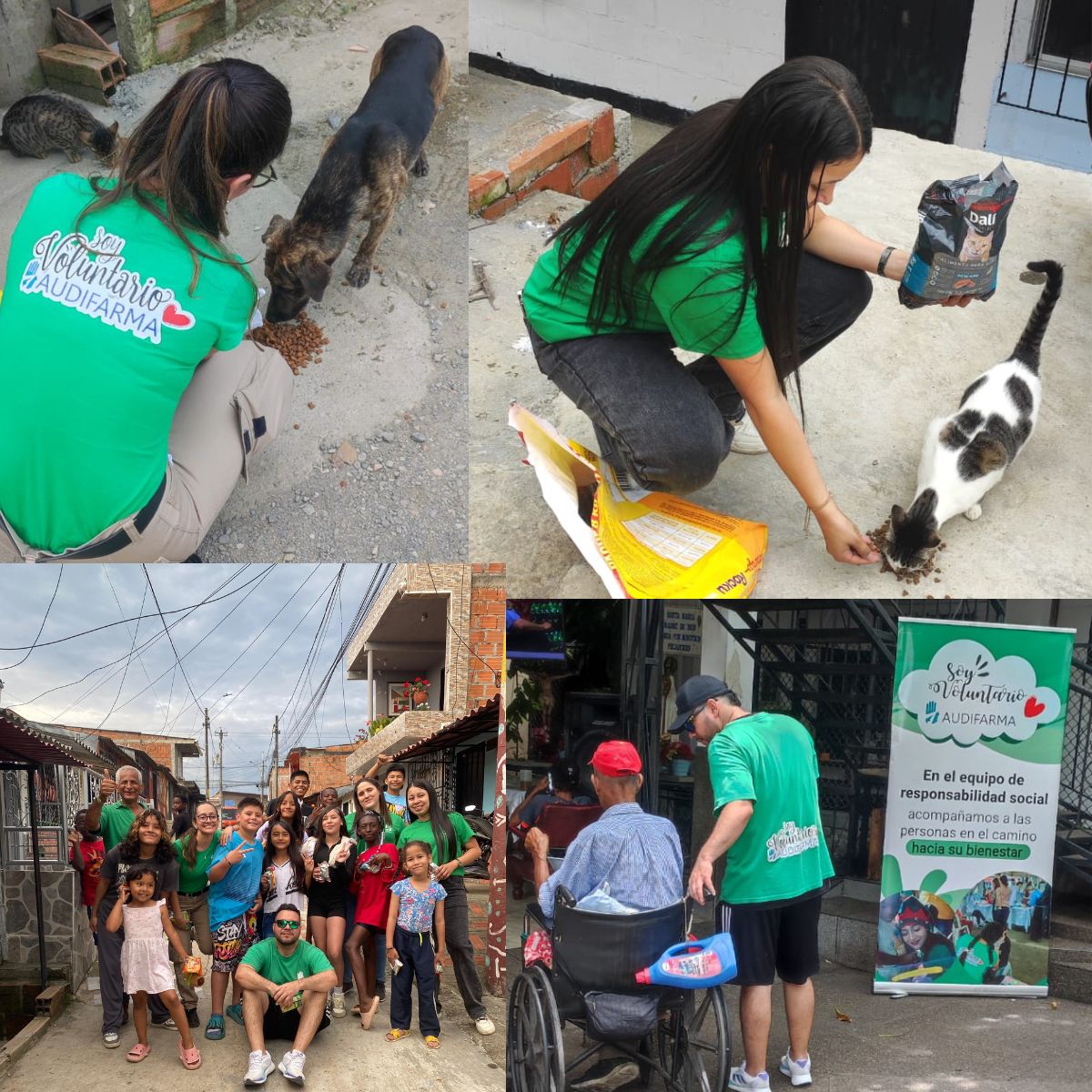 Volunt. audifrma + amor + alegría.jpg